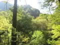 上高地の写真_104310