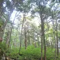上高地の写真_104311