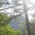 上高地の写真_104313