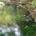 上高地の写真_104314