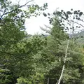 上高地の写真_104332