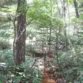 上高地の写真_104336