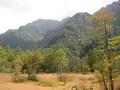上高地の写真_104340