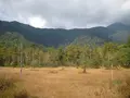 上高地の写真_104341
