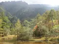 上高地の写真_104343