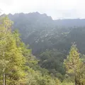 上高地の写真_104344