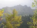 上高地の写真_104345