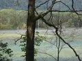 上高地の写真_104354