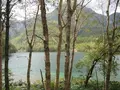 上高地の写真_104358