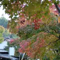 宮ケ瀬湖の写真_104367