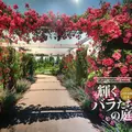 FUJIFILM SQUAREの写真_104422
