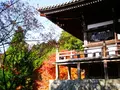 御嶽山 播州清水寺の写真_104437