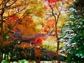 御嶽山 播州清水寺の写真_104440