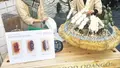 嵯峨野湯の写真_104459