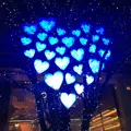 六本木けやき坂通りの写真_104507
