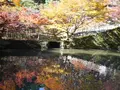 円通寺の写真_104512