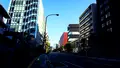 外苑西通りの写真_104526