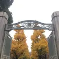 東京大学の写真_104595