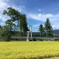道の駅 田園プラザかわばの写真_104609