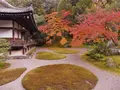 醍醐寺三宝院の写真_104718