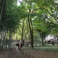 蘆花恒春園の写真_104820