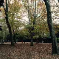 蘆花恒春園の写真_104822