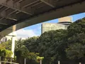 弁慶橋の写真_104955