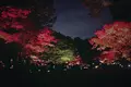 大田黒公園の写真_104983