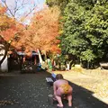 桃太郎神社の写真_105050