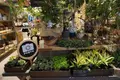 FARMER’SKITCHENの写真_105145