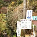 粟又ノ滝の写真_105183