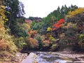 粟又ノ滝の写真_105188