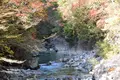 定勝寺の写真_105395
