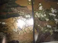 智積院の写真_105629