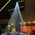 東京スカイツリーの写真_105684