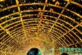 マザー牧場の写真_105718