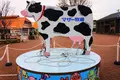 マザー牧場の写真_105722