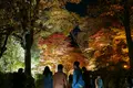 東山動物園の写真_105792