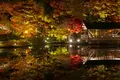 東山動物園の写真_105797
