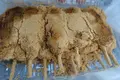 美玉屋の写真_105917