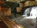 ひろ文の写真_105919