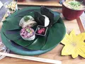 エンボカ青山の写真_105982