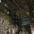丸の内ブリックスクエア (Marunouchi BRICK SQUARE)の写真_106093