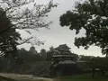 熊本城の写真_106206