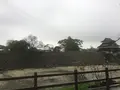 熊本城の写真_106207