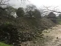 熊本城の写真_106209