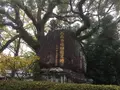 熊本城の写真_106211