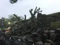 加藤神社の写真_106217