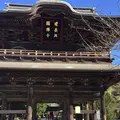 建長寺の写真_106420