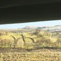 由布岳の写真_106905